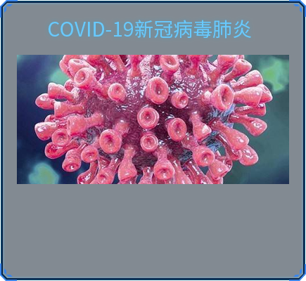 COVID-19新冠病毒肺炎