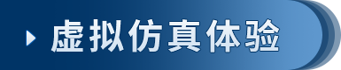 虚拟仿真体验